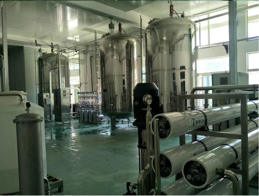 生物医药10吨双级反渗透+EDI纯水设备