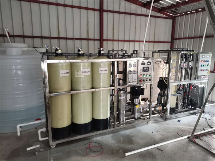 2吨纯水设备反渗透+EDI设备