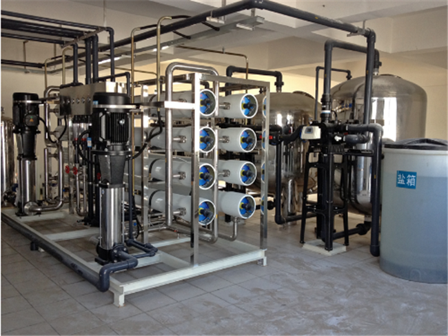 8T/H二级反渗透纯水处理设备